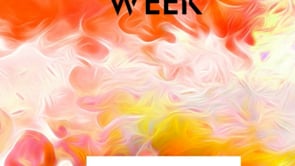 Flame of the Forest #dopaminedressing WickedYo