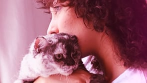 Pawlentine's 2 by WickedYo