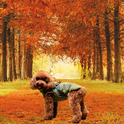 army-green-dog-winter-coat-warm-jacket-small-medium-dogs-autumn-vest-wickedyo1
