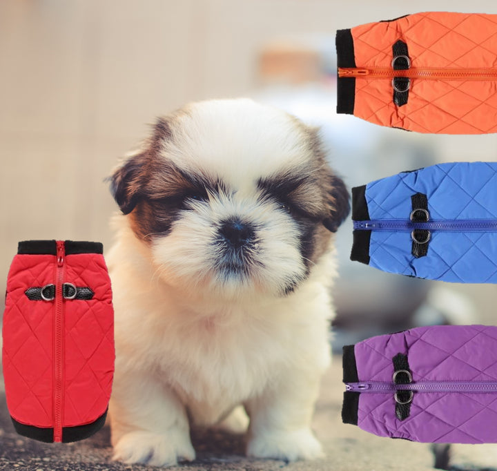 Winter Coat for Dogs. Warm Sweater Jacket for your Pet Dog. WickedYo