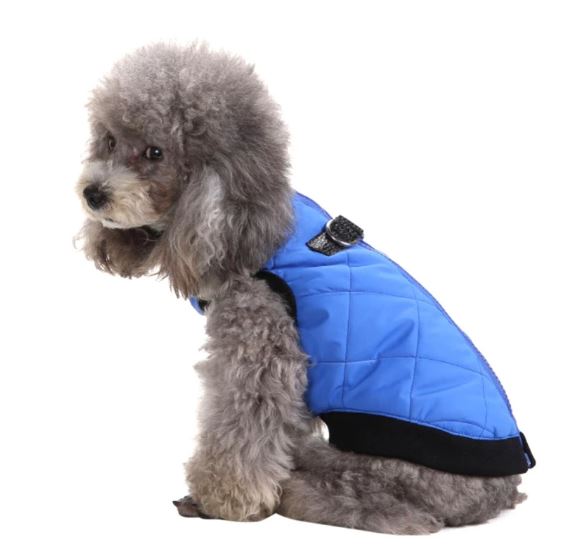 warm-winter-snow-jacket-for-dogs-red-orange-blue-purple-goofball-wickedyo5