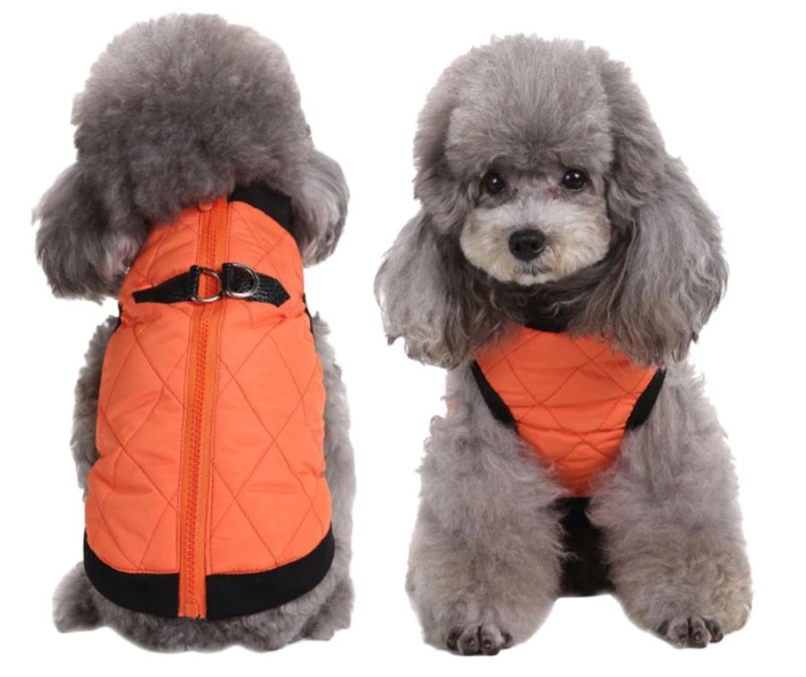 warm-winter-snow-jacket-for-dogs-red-orange-blue-purple-goofball-wickedyo6
