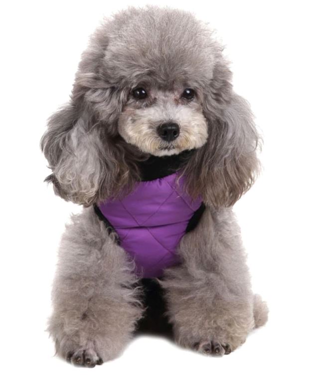 Winter Coat for Dogs. Warm Sweater Jacket for your Pet Dog. WickedYo