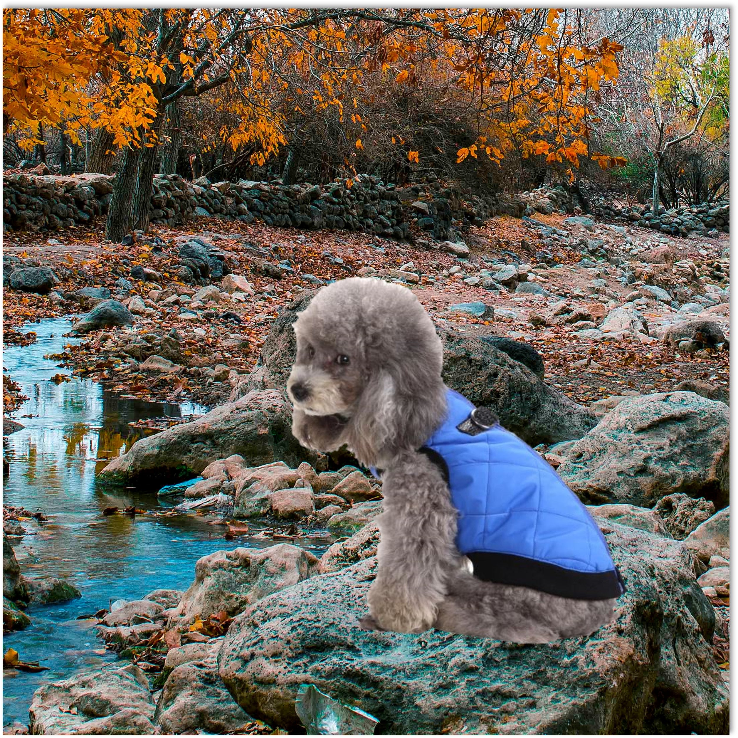 warm-winter-snow-jacket-for-dogs-red-orange-blue-purple-goofball-wickedyo8