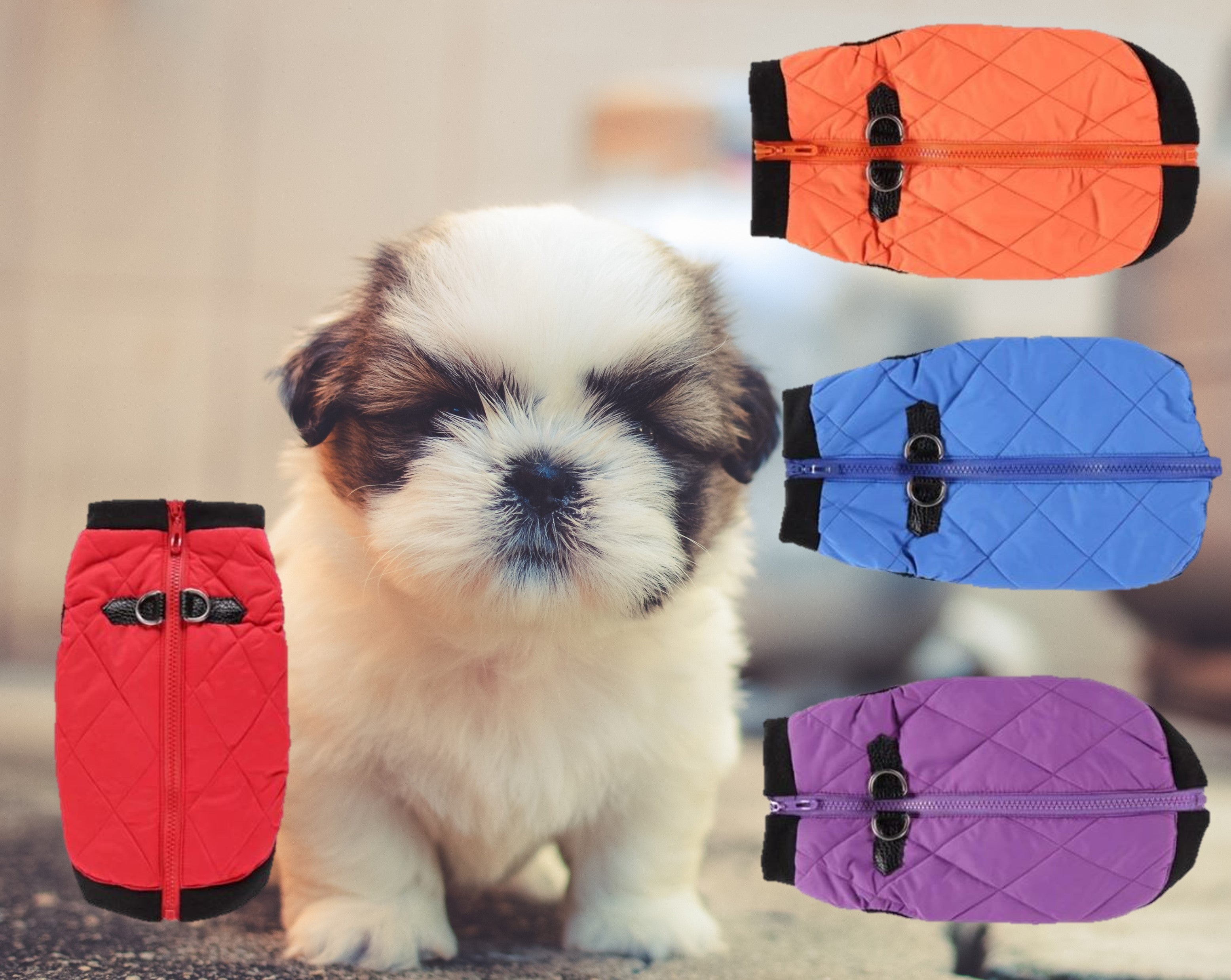 warm-winter-snow-jacket-for-dogs-red-orange-blue-purple-goofball-wickedyo9