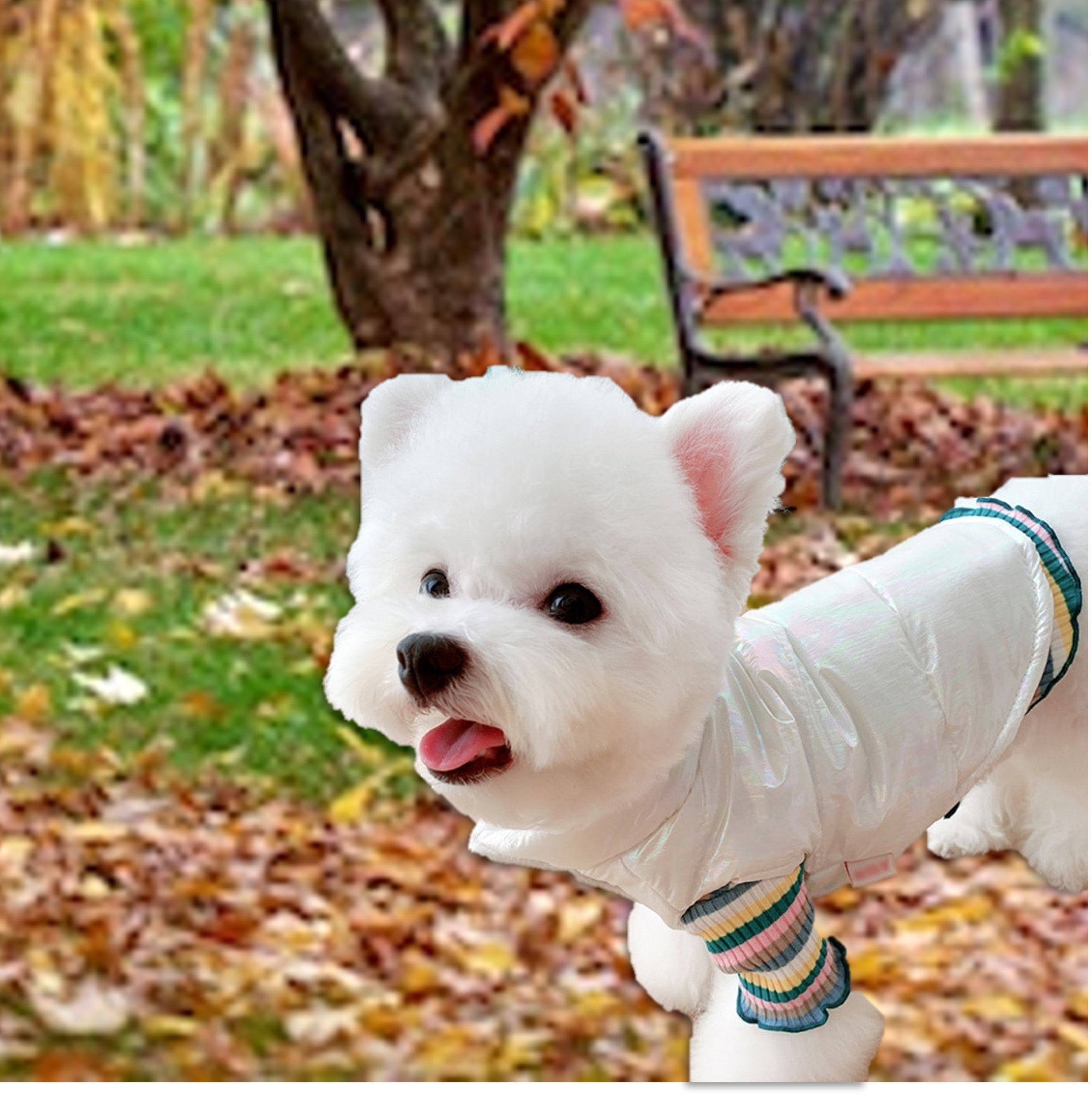 winter-coat-small-dogs-waterproof-vest-cozy-warm-vest-cooper-wickedyo1